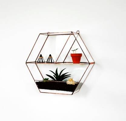 Inspiration World Wall Decor Hanging Glass Rack & Terrarium planter shelf Glass Wall Shelf