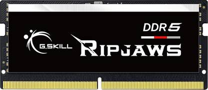 G.Skill Ripjaws DDR5 16 GB (Single Channel) Laptop SDRAM (F5-4800S4039A16GX1-RS - 1*16GB 4800 MHz Laptop RAM)