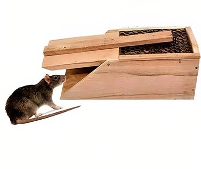 Red Champion Mouse Mice Traps for House,Indoor & Outdoor Easy Setup Reusable Powerful Spring Live Trap