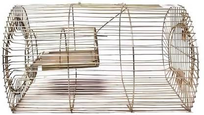 QUANTCOMM Iron Heavy Wire Rat Trap/Mouse Rat Catcher/Rat Cage/Chuha Pinjra/Mouse/Chipmunk Live Trap