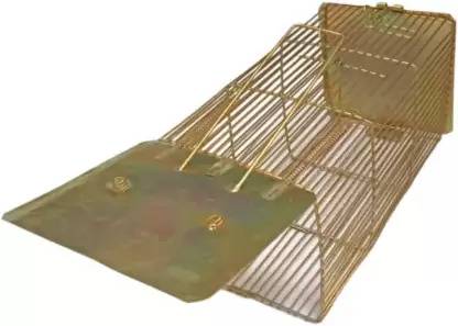 saanvi Enterprises Heavy Quality (Large) Rat Trap Cage Live Trap