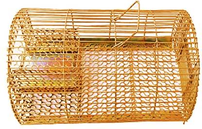 RATOPOLIS muskal/rat trap/chuhadani mouse trap Iron Ultimate Solution to Rat Problems Live Trap