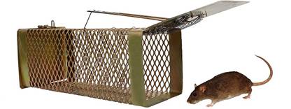 Dsom Rat Trap cage/Big Iron Rat Trap for Catching Rats/Mouse Catcher Box/Chuha Live Trap