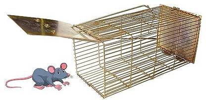 greengrow ( 21X 10 X10) Large Size Rat Trap Cage for Pest/ Rodent/ Rat Control Iron Golden Live Trap