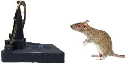 Q8 Twinkle Standard Rat Trap:Mouse Catch Trap (Grey ) Live Trap