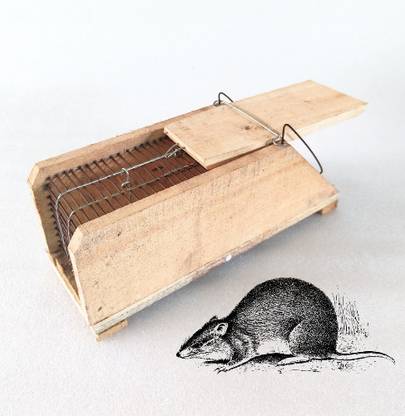 Rattrap R1 Live Trap