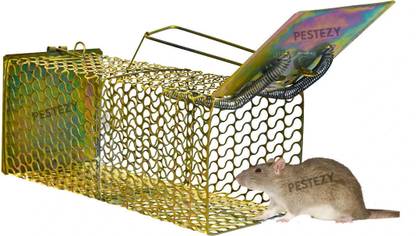 PESTEZY Mouse/Rat Trap cage Chuha Pakadne ka Pinjara Cross Design Heavy Quality (Large) Live Trap