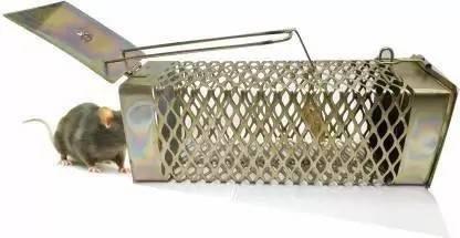 NLIN RAT TRAP ITON Live Trap