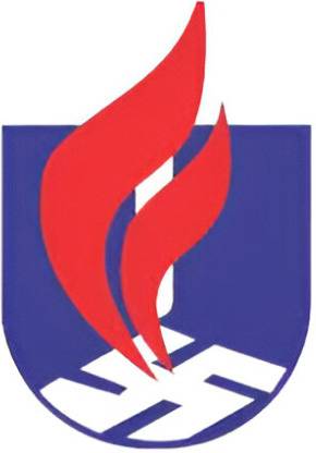 Unique Central Piped Gases Gas Bill