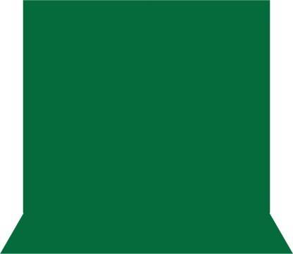 Vistook 8FTx12FT Dark Green Photography Studio Backdrop for Event Shoot. Reflector