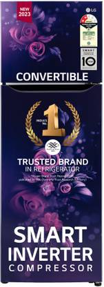 LG 272 L Frost Free Double Door 2 Star Refrigerator