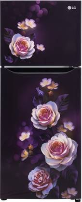 LG 242 L Frost Free Double Door 2 Star Refrigerator