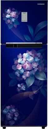 SAMSUNG 236 L Frost Free Double Door 2 Star Refrigerator