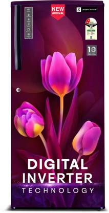 realme TechLife 205 L Direct Cool Single Door 2 Star Refrigerator  with Rapid Chill Technology and Large Vegetable Basket