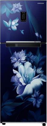 Samsung 291 L Frost Free Double Door 2 Star Refrigerator