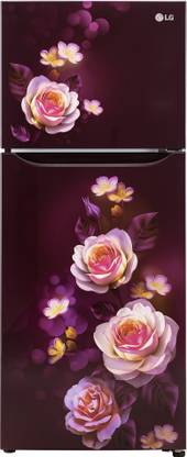 LG 242 L Frost Free Double Door 2 Star Refrigerator