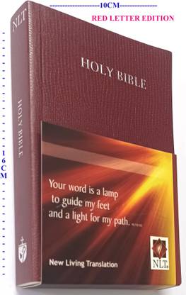 English NLT BIBLE-Small Size With Red Letter