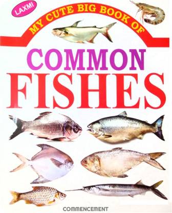 Common Fishes Names Book For Children