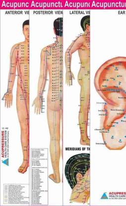 Acupressure Point Charts -Set Of 4 ( Paperback,Dr. Dinesh Choudhary )