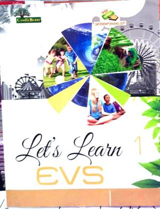Candle Berry Lets Learn Evs 1