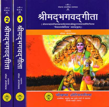 Srimad Bhagavad Gita (Set Of 2 Volumes) Sanskrit Text With Hindi Translation