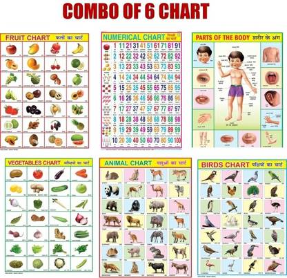 कॉम्बो ऑफ 6 चार्ट्स बर्ड्स,फ्रूट,एनिमल, वेजिटेबल,न्यूमेरिकल चार्ट्स एंड पार्ट्स ऑफ बॉडी चार्ट फॉर किड्स