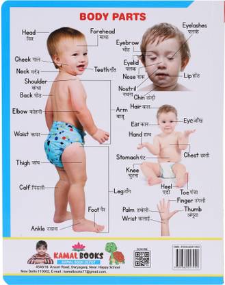 GoodsNet My First Board Book All In One English Hindi Board Books For Kids ( 16 Pages )