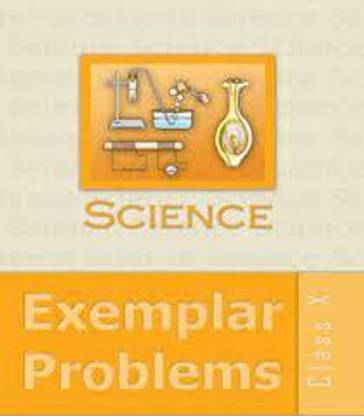 Ncert Science Exemplar For Class 10