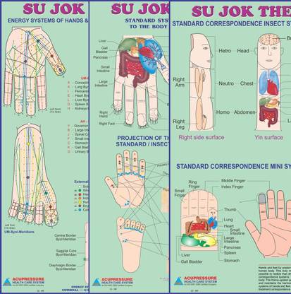 Sujok Therapy Chart-Set Of 3 Size 20"x30"