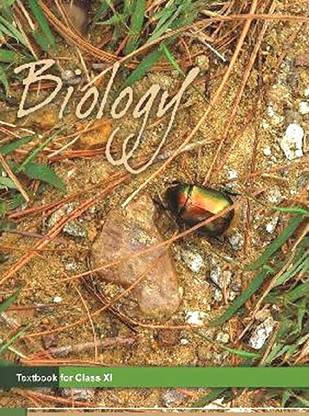 NCERT Biology Textbook For Class 11 - 1 January 2023
