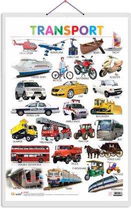 Transport Hard Laminated Educational Chart | By Sawan