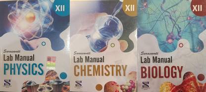 Saraswati visual data 8