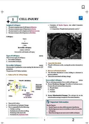 Microbiology And Pathology Rapid Rivision Color Notes By Dr. Preeti Sharma Prep 5.0 2023-2024