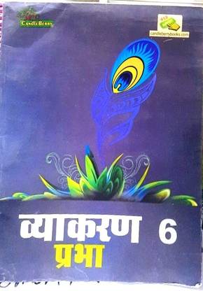 Candle Berry Vyakarana Prabha 6