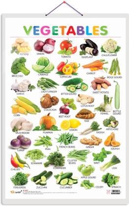Vegetables (Hard Laminated Educational Chart)