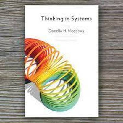 Thinking In Systems: International Bestseller Paperback By Donella Meadows
