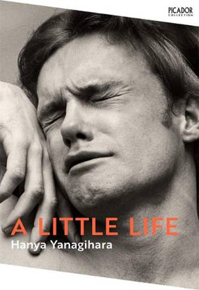 A Little Life Book