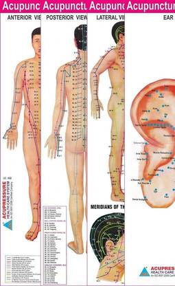 Acupuncture Points Charts - Set Of 4