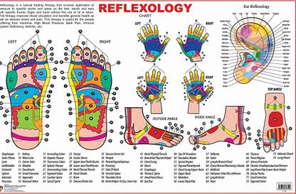 Acupressure Reflexology Chart (Paper Chart)