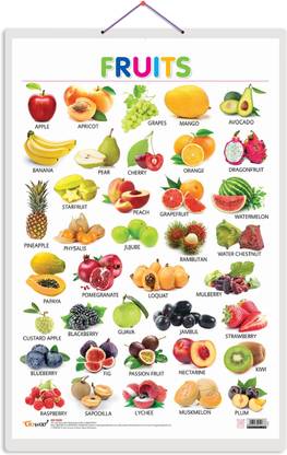 Fruits Hard Laminated Educational Chart | By Sawan