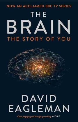 The Brain: The Story Of You (Paperback, English)