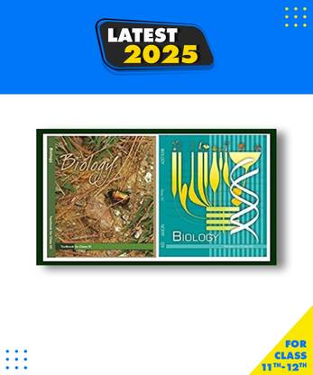 Ncert Textbook Class 11th And 12th Book