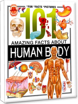 101 Amazing Facts About Human Body Knowledge Encyclopedia