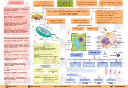 Biology Mind Map For Neet