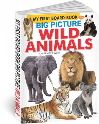 Sawan Present My First Board Book Of Big Picture Wild Animals