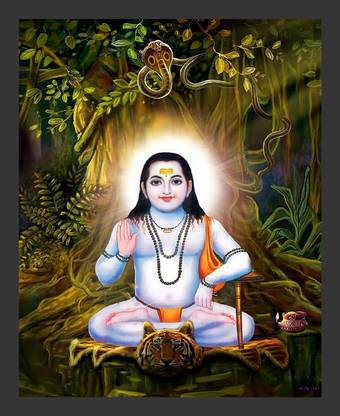 Darsh Craft Baba Balaknath Religious Frame