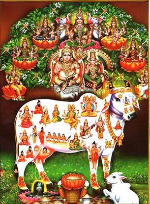 lvy Lord Kamadhenu,Gomatha, cow photo frame Religious Frame 8X10 Religious Frame