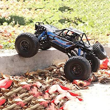 MS MAN 1:10 Scale High Speed RC Cars 4X4 Off-Road Remote Control Toy