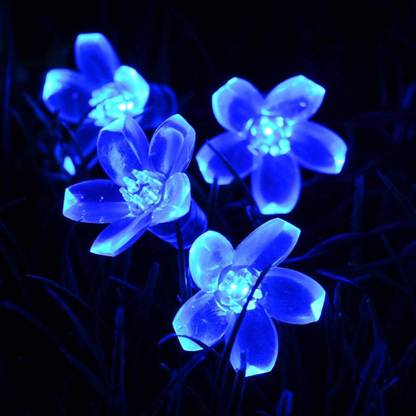 MAHI HOME DECOR 16 LEDs 3 m Blue Steady String Rice Lights