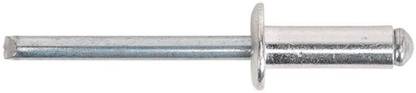 Homly Aluminium Blind Rivet-Metal Pop Rivets for Riveting Gun/Machine, Pack of 100pcs Rivet